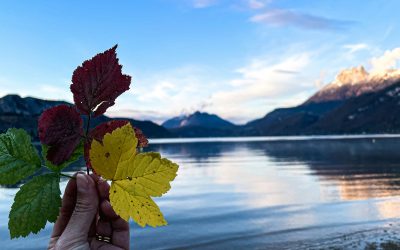 Offre emploi : Coordination de projet en santé publique CPTS Le Bout du Lac vers Annecy